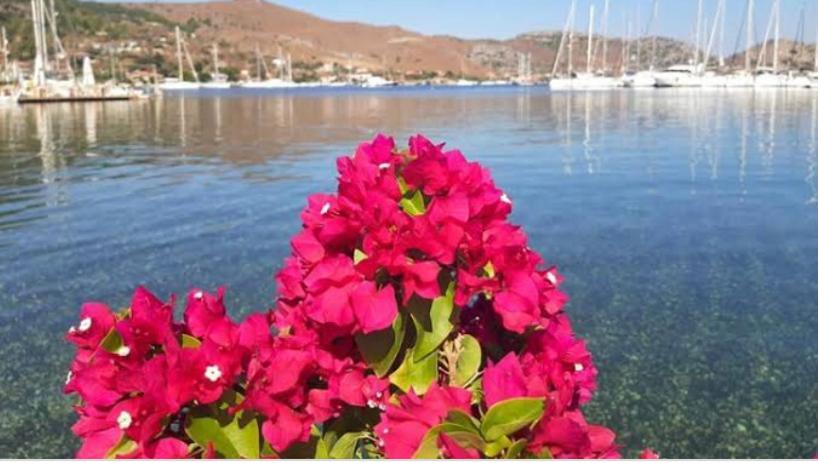 Defne Residence Selimiye Marmaris Bagian luar foto
